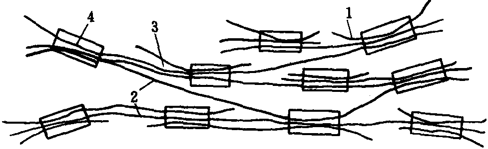 二、細(xì)胞壁的微細(xì)結(jié)構(gòu)